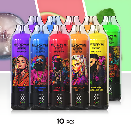 MERRYMI SHISHA 10PCS